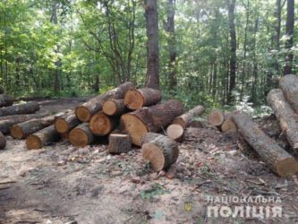 Разрешение на вырубку деревьев при строительстве