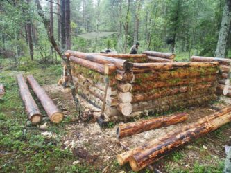 Строительство сруба лесной избы