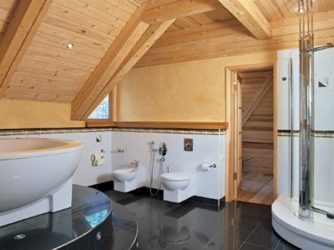 Tuš i toalet u drvenoj kući - Tuš u drvenoj kući: - kako to učiniti sami, značajke ukrašavanja, raspored prostorija za tuširanje, uglovi, toaleti, u izgradnji, cijena, fotografija